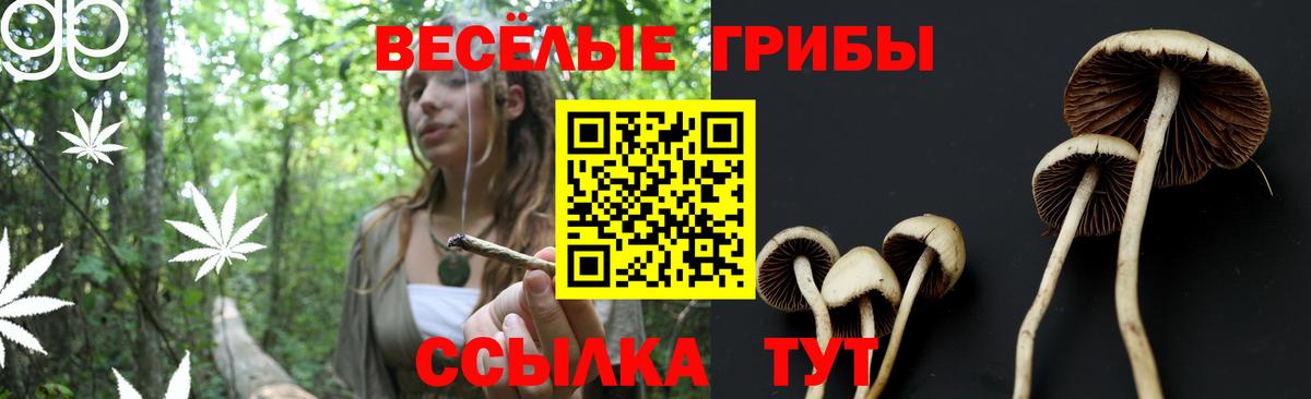 Кольчугино  где купить наркоту  Вход с VPN  Галлюциногенные грибы MAGIC MUSHROOMS 