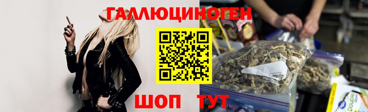 Псилоцибиновые грибы Psilocybe Кольчугино